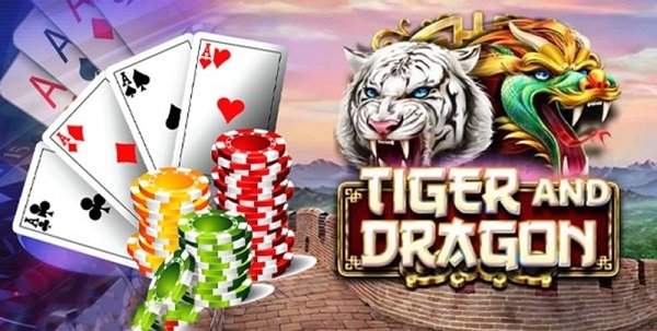 Guide Dragon Tiger: How to play basic easy to understand